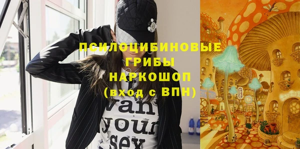 шишки Алзамай
