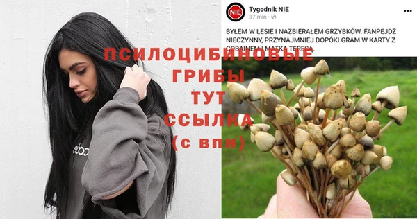 шишки Алзамай