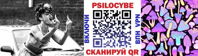 Галлюциногенные грибы Psilocybe  Нефтегорск 